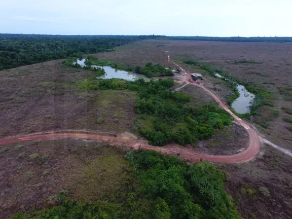 Foto do imóvel CASAL IMÓVEIS VENDE FAZENDA EM PARAGOMINAS 700 ALQUEIRES