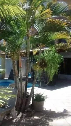 Imagem Vendo Casa com piscina e 5 quartos no Setubal - Recife PE