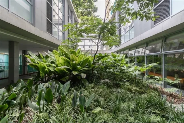 Imagem Sala Comercial 23m² Moema São Paulo Rua Pintassilgo