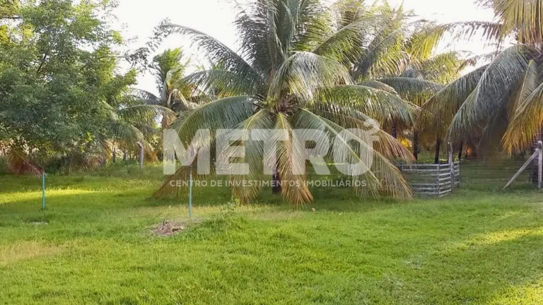 Imagem Chácara à venda, Estrada das Pedrinhas, PETROLINA - PE