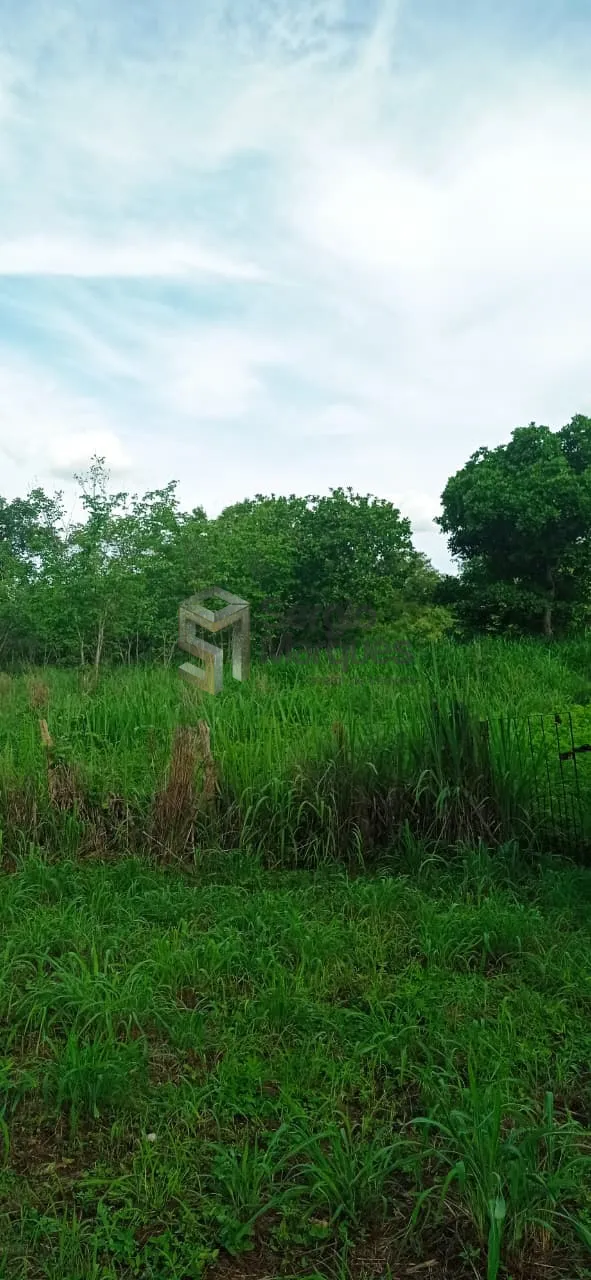 Imagem Fazenda à venda - 700000m² - Floriano-PI
