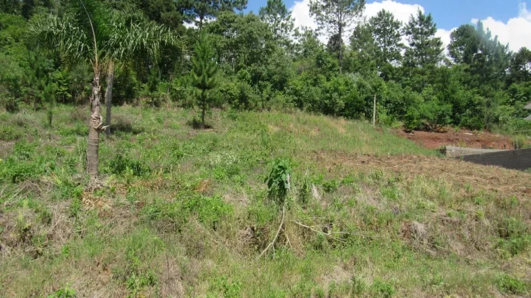 Imagem Terreno para Venda em Concórdia, Rural