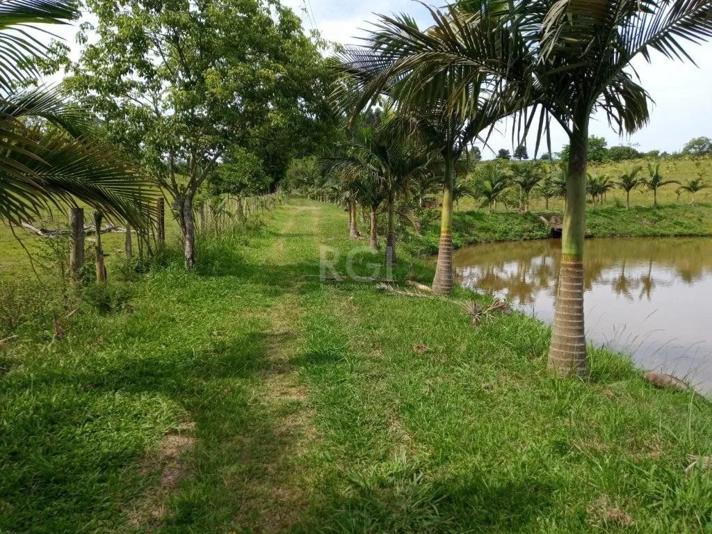 Imagem Boletto Imóveis vende Sitio na RS, Com 7 casas, 2 comerciais, excelente local para vários seguimento fácil acesso , rota para gramado, R$3.900,000,00