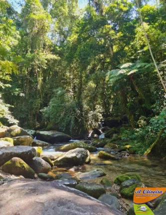 Imagem CHACARA HORTO 22 MIL METROS QUADRADOS
