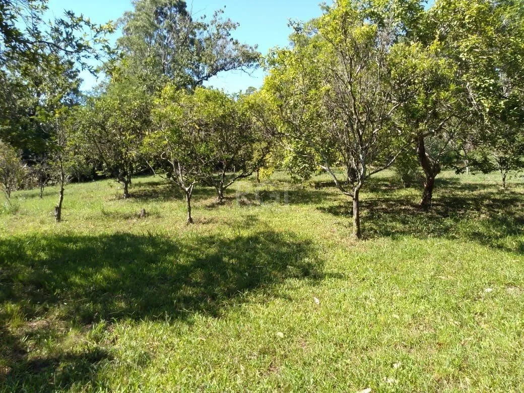 Imagem Sítio para Venda - 240m², 4 dormitórios, Itapuã