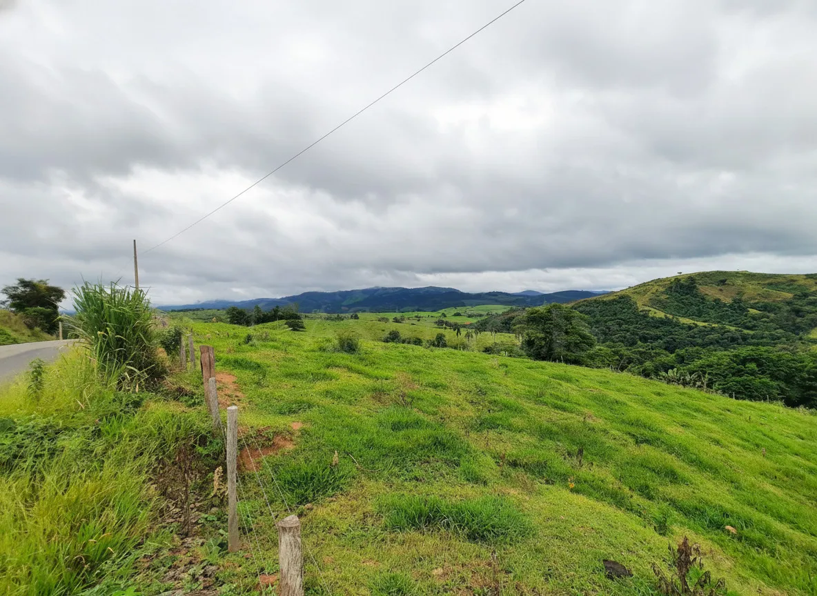 Imagem Sítio 65 m² à venda em Palmeiral, Botelhos