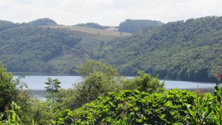 Imagem Terreno para Venda em Concórdia, Lageado Paulino
