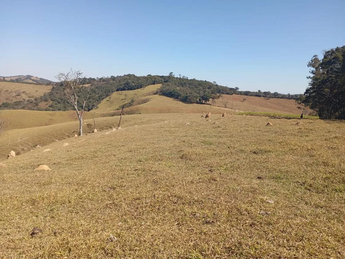 Imagem Vendo excelente sítio/fazendinha em Piedade dos Gerais/MG, com 30 hectares de terra