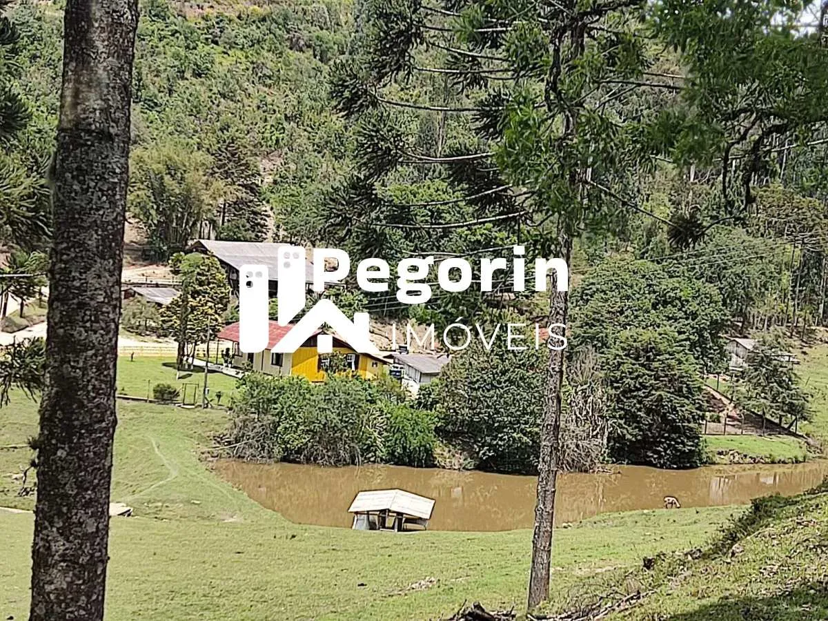 Chácara para Venda, Campo Magro / PR, bairro Hervalzinho, área total 24.397,00 m² em Endereço: Rua Jacob Szychta,