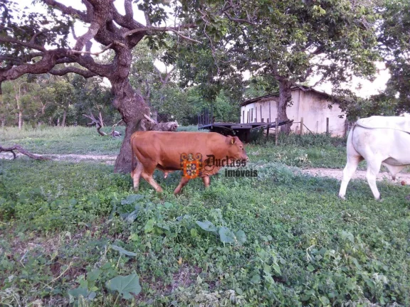Imagem Fazenda à venda, 1370ha m² por R$ 14.200.000 - Zona Rural - Arinos/MG