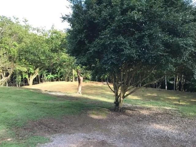 Imagem Refúgio Sereno: Propriedade com Carvoaria e Potencial de Renda em Pilar do Sul