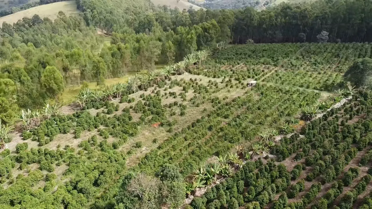 Imagem Sítio 1,3 ha à venda em Capituvas, Campestre