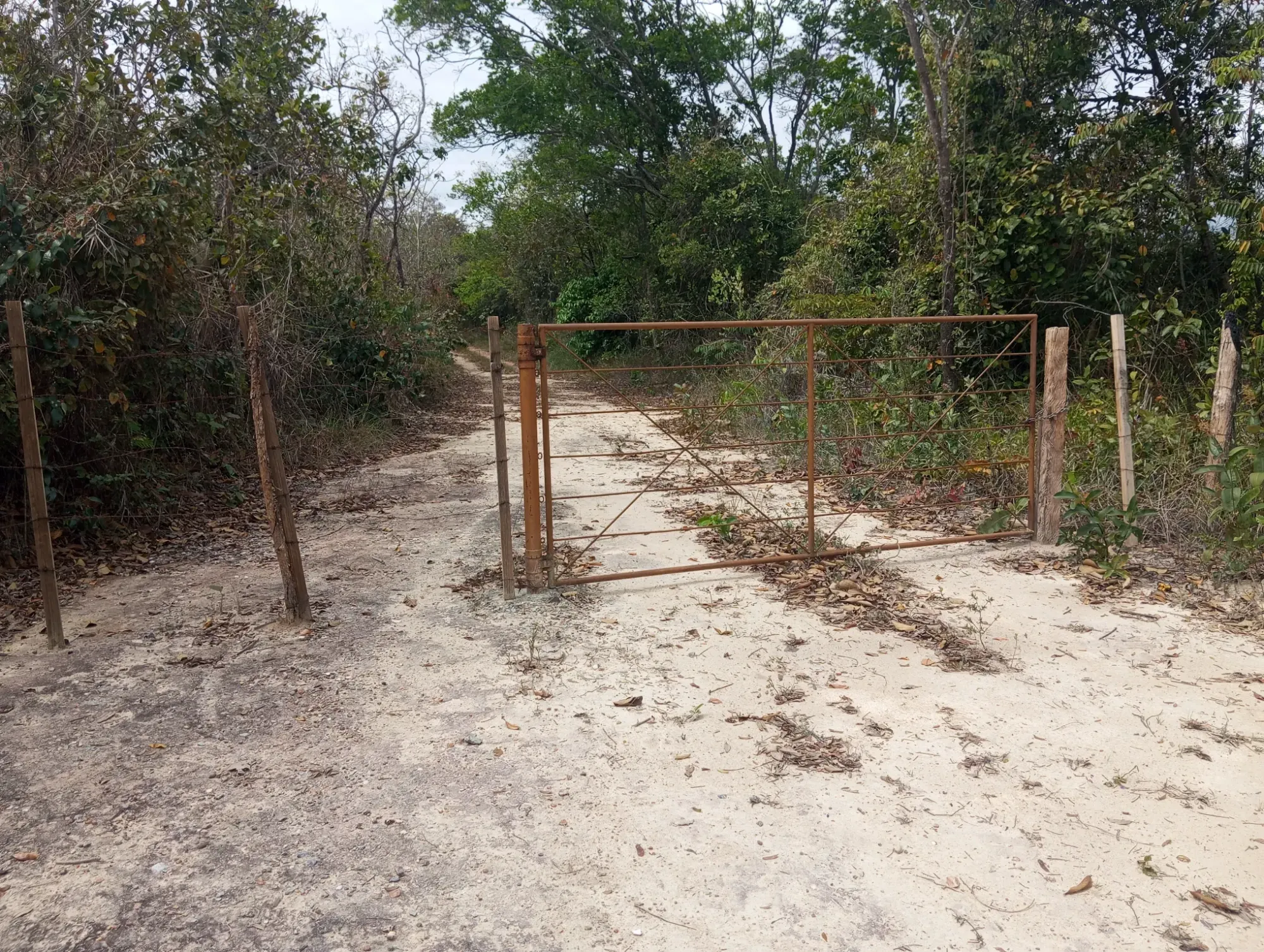 Imagem Chácara com 2 Quartos à Venda, 34.000 m² em Ravena - Sabará