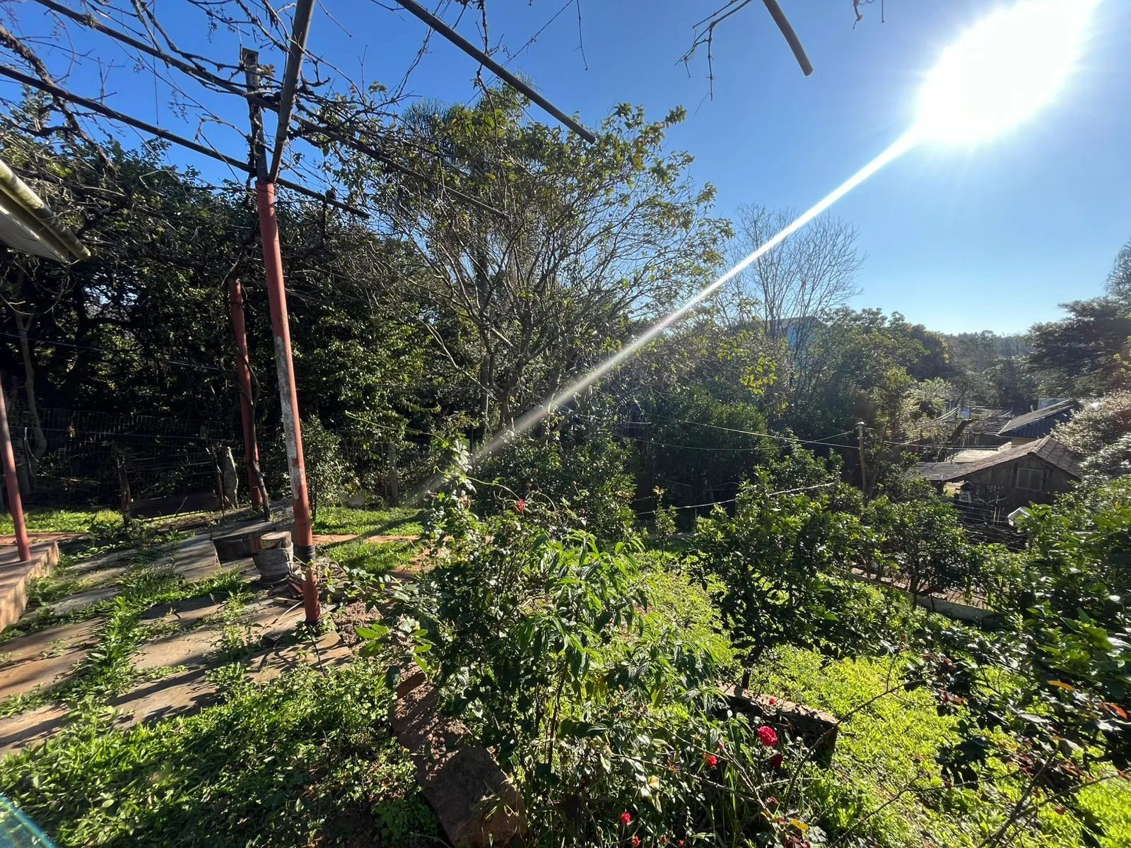 Imagem Terreno Amplo com 3 Casas - Vila Nova, Porto Alegre