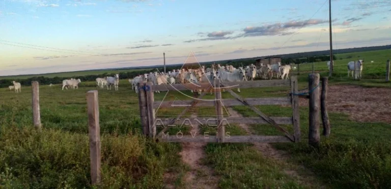 Imagem Fazenda - Guaraí - Guaraí