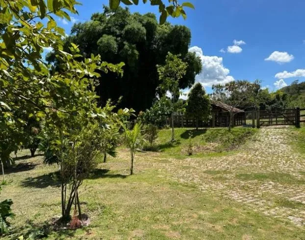 Imagem Oportunidade de Fazenda em Cláudio/MG 84 Hectares de terra