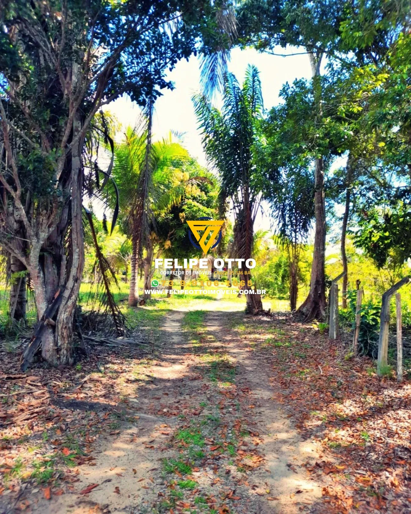 Imagem SITIO RESIDENCIAL em SANTA CRUZ CABRÁLIA - BA, yaya