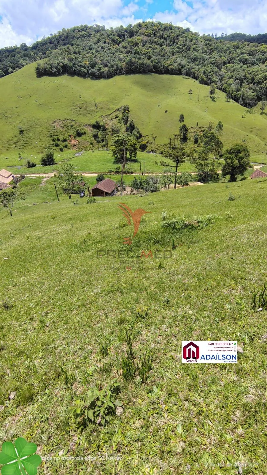 Imagem SÍTIO DOS SONHOS EM ANGELINA - SC Brasil