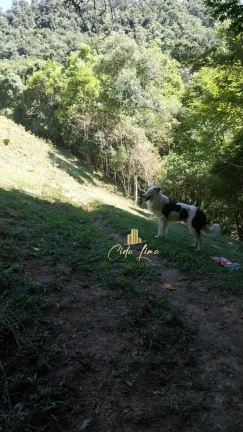 Imagem Vendo sítio/ Chácara, 12 Hectares em Alfredo Wagner SC.