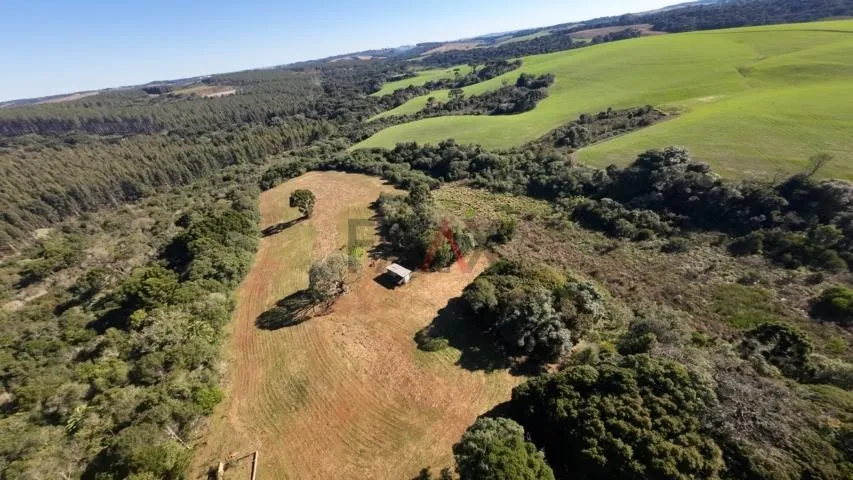 Imagem Sítio à venda com excelentes 24,62ha de área em Guarpuava PR