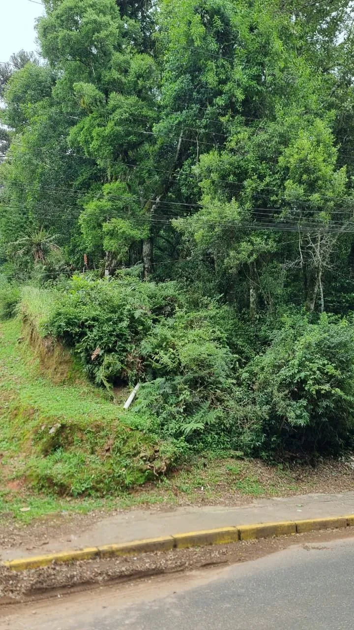 Imagem Terreno à venda em Gramado, Moura, 1027.65m2