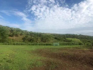 Imagem Excelente Fazenda em Funilândia/MG 112 hectares de terra