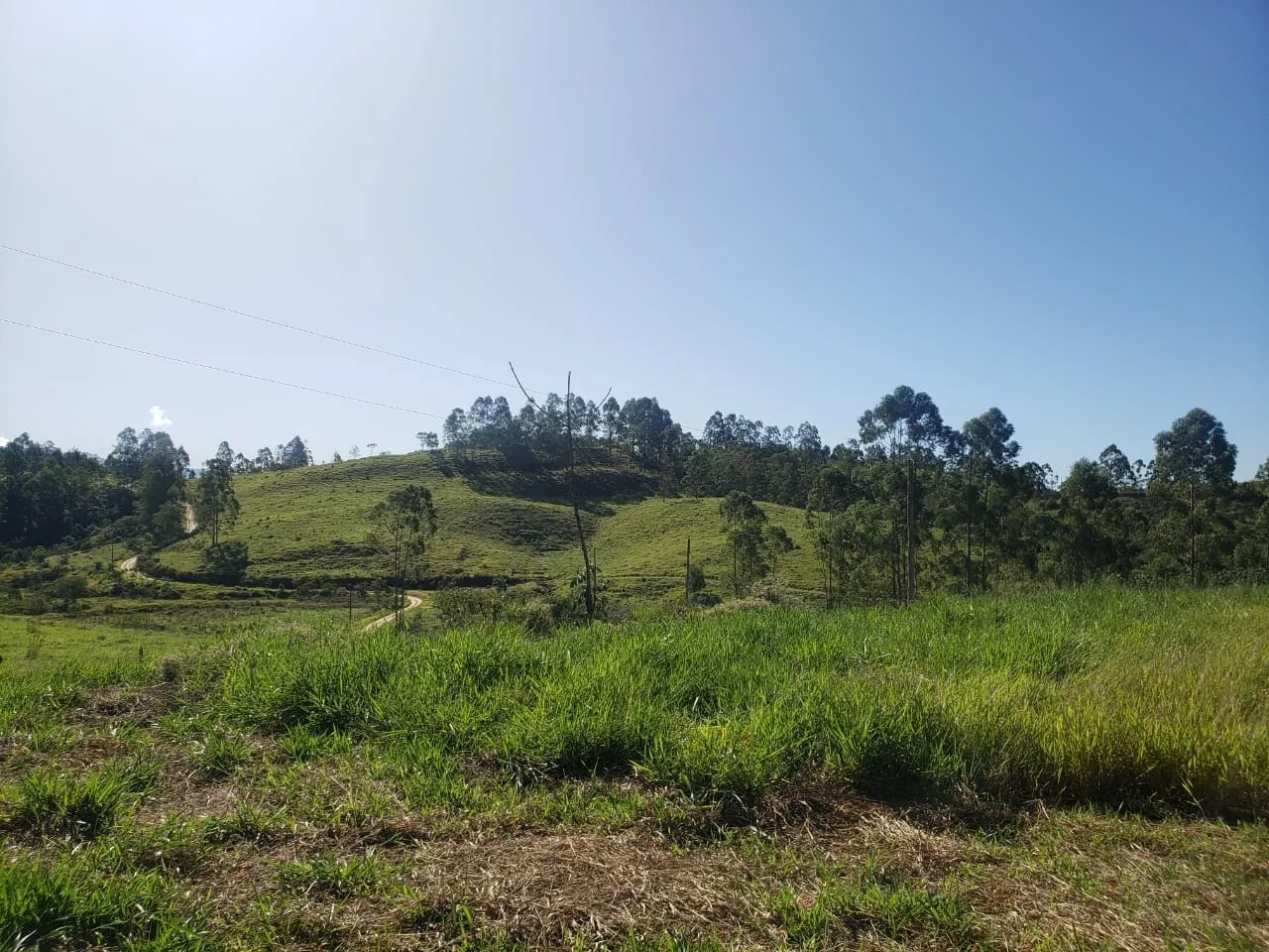 Imagem Terreno à venda 1065M², Zona Rural, Tremembé - SP