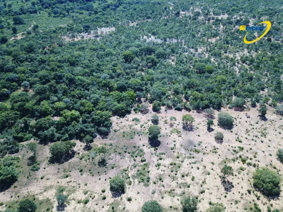 Imagem Fazenda à Venda, 681.000 m² em rural - São João D'Aliança