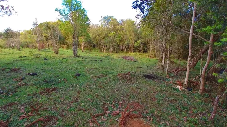 Imagem Chácara para Venda em Tijucas do Sul, Ambrósio
