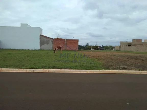 Imagem Terreno Padrão