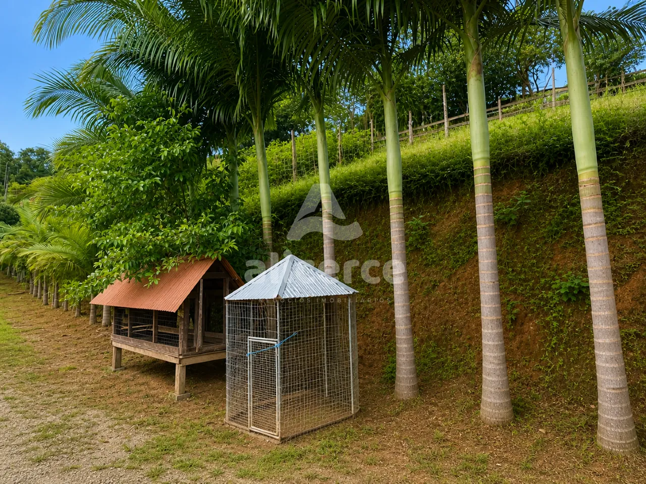 Imagem Sítio/Chacará à Venda no Pagará - Santo Amaro da Imperatriz/SC