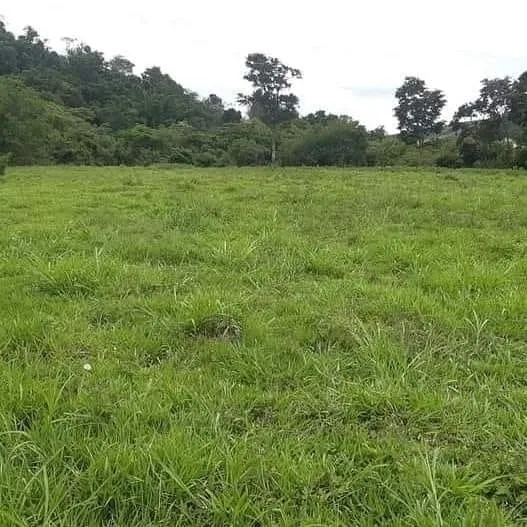 Imagem Chácara à venda 25150M², Registro, Taubaté - SP