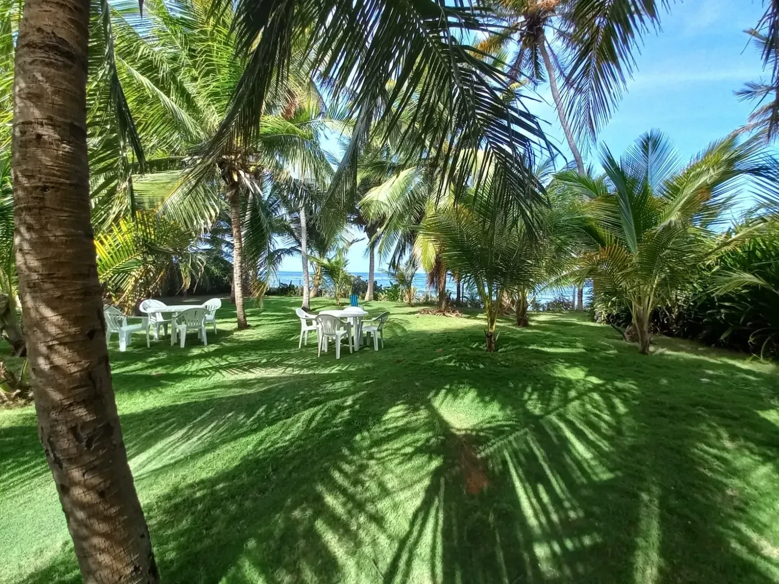 Foto do imóvel Casa com 4 Quartos para Alugar ou Temporada, 1.000 m² em Praia do Forte - Mata de São João