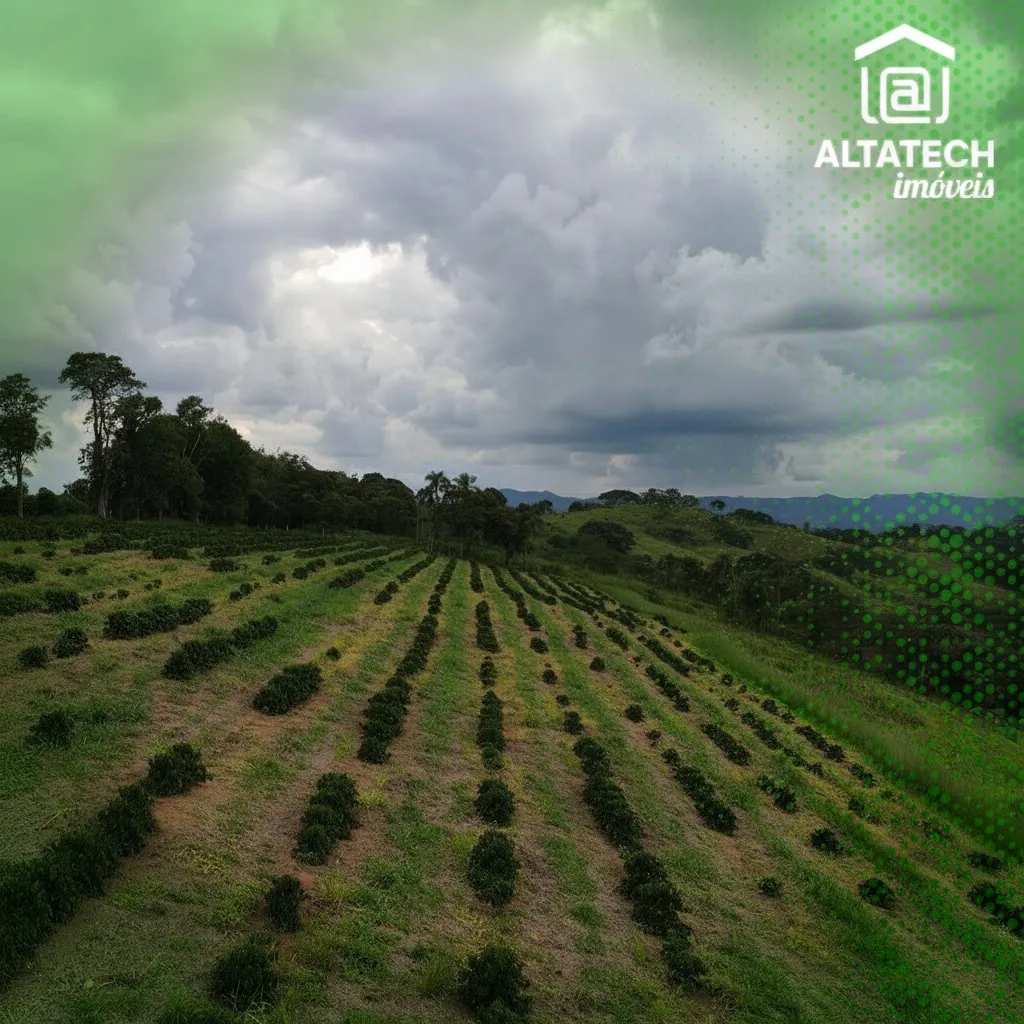 Imagem Fazenda 0 ha à venda em Roseira, Bandeira do Sul