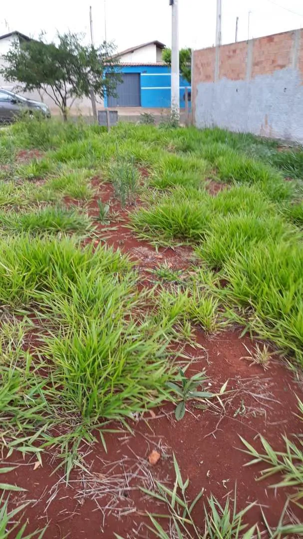 Imagem Terreno Padrão