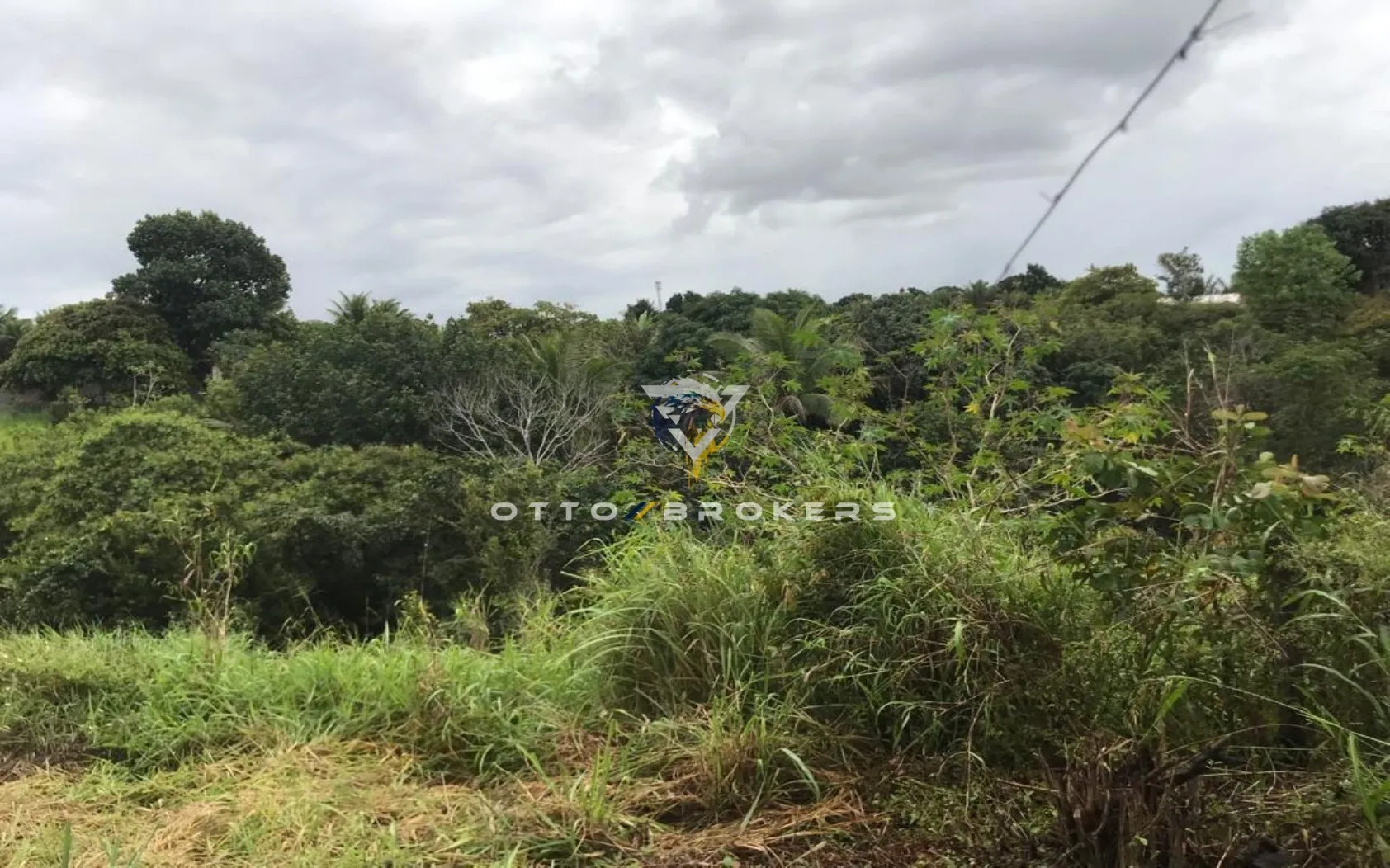 Imagem AREA RESIDENCIAL em SANTA CRUZ CABRÁLIA - BA, TÂNIA