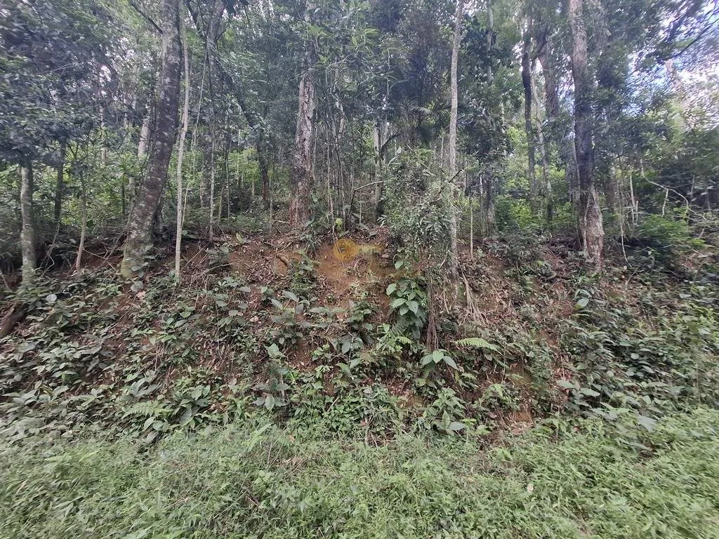 Imagem Terreno para Venda em Teresópolis / RJ no bairro Albuquerque