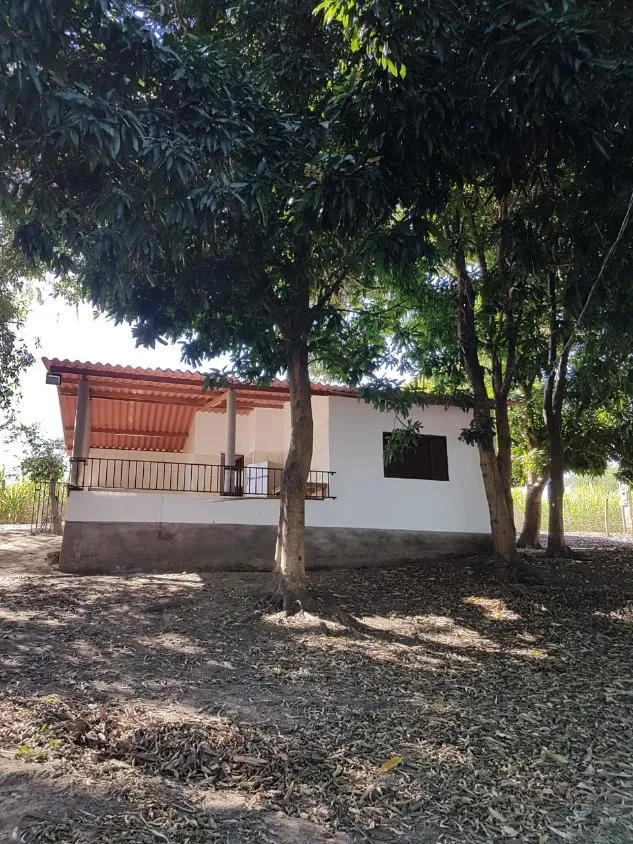 Imagem FAZENDA À VENDA - VÁRZEA DA PALMA (MG) 313 hectares de área total