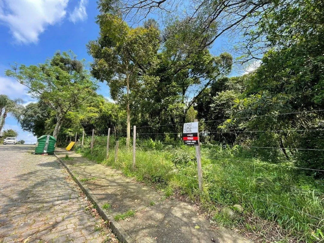 Imagem Terreno em Marechal Floriano
