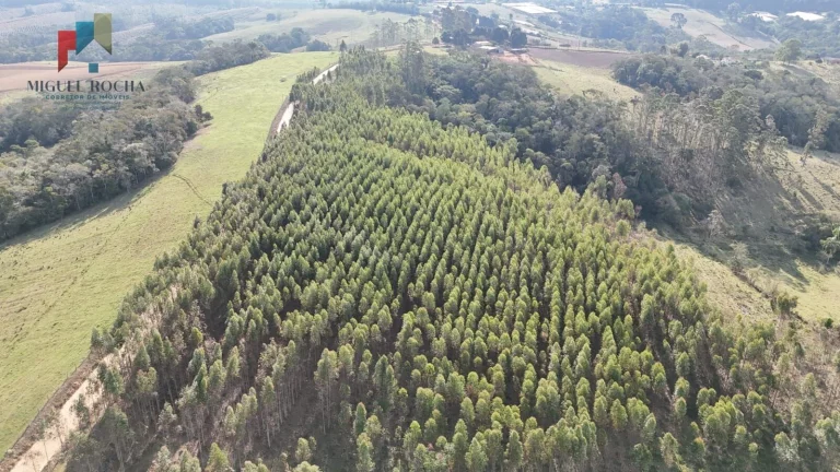 Imagem Sítio São Miguel Arcanjo/SP