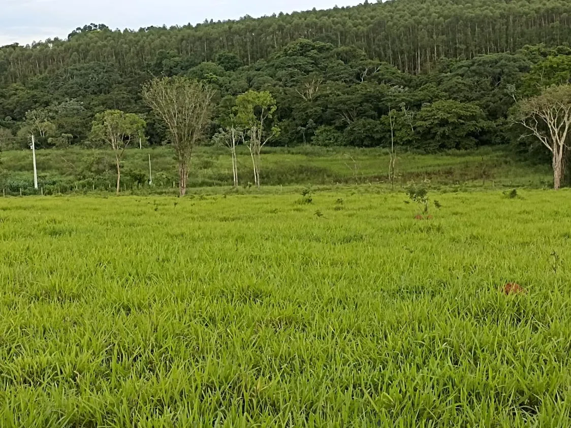 Imagem Terreno a venda de 24,3 hectares às margens do Rio Picão