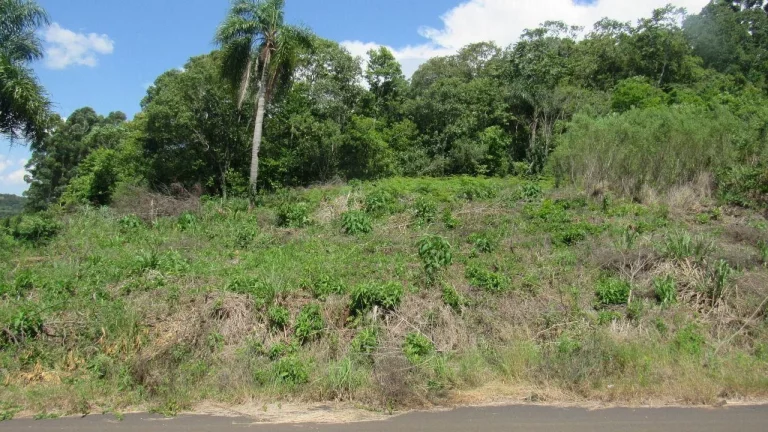 Foto do imóvel Terreno para Venda em Concórdia, Rural em Pedro Balbinot