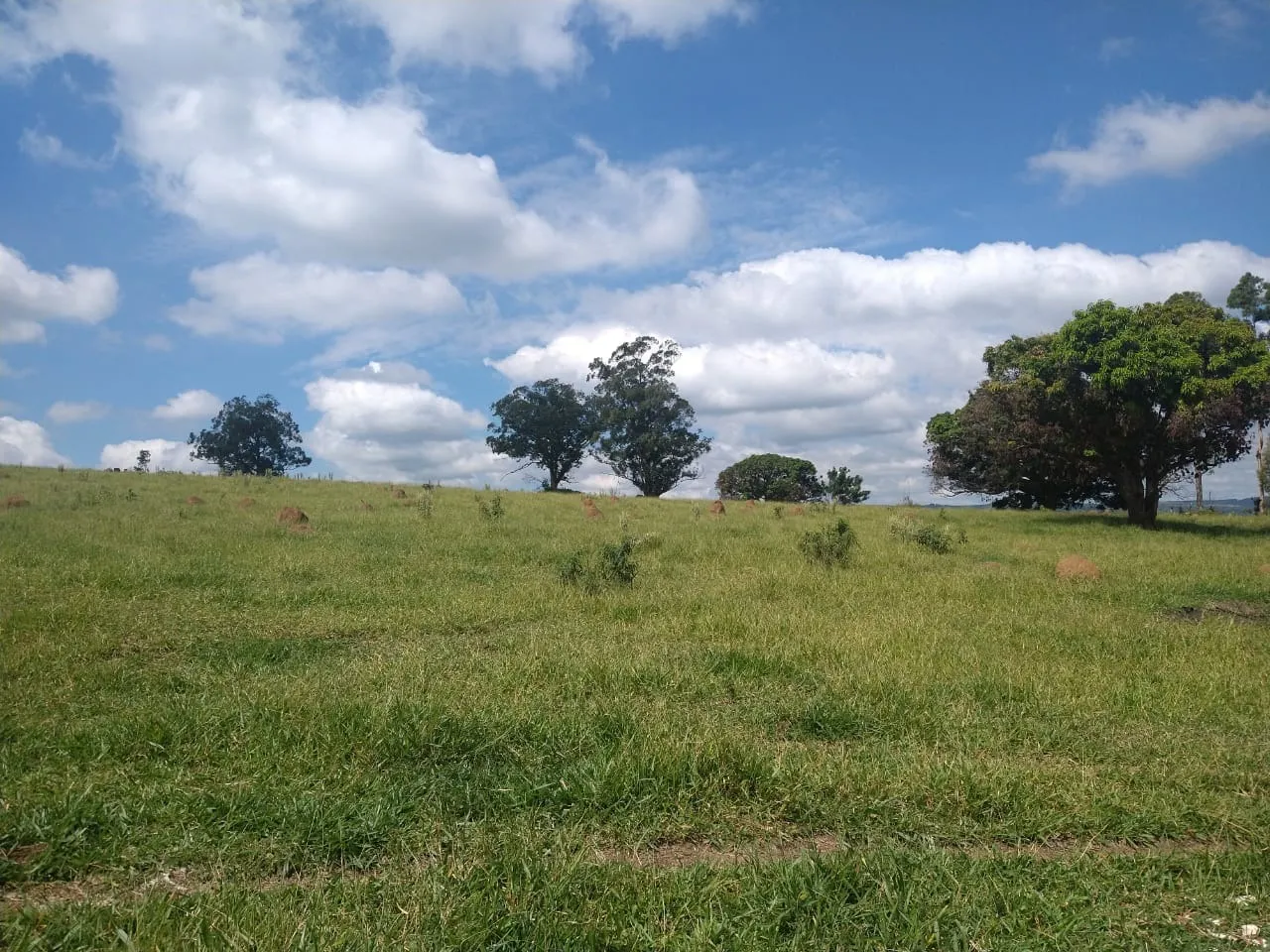 Foto do imóvel Vende-se esta área com 89 mil metros em BRIGADEIRO TOBIAS, SOROCABA - SP