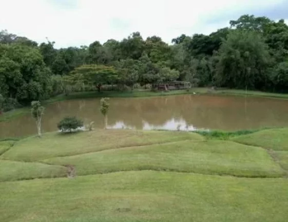 Imagem Descubra o Encanto Rural: Chácara dos Sonhos em Cruz do Cedro, Quadra/SP Seu Refúgio Perfeito na Natureza por Apenas R$ 650 Mil