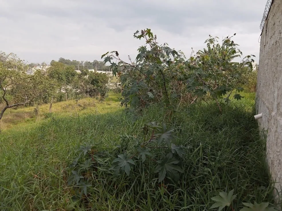 Imagem Terreno à venda, Residencial Parque das Palmeiras, Pindamonhangaba, SP