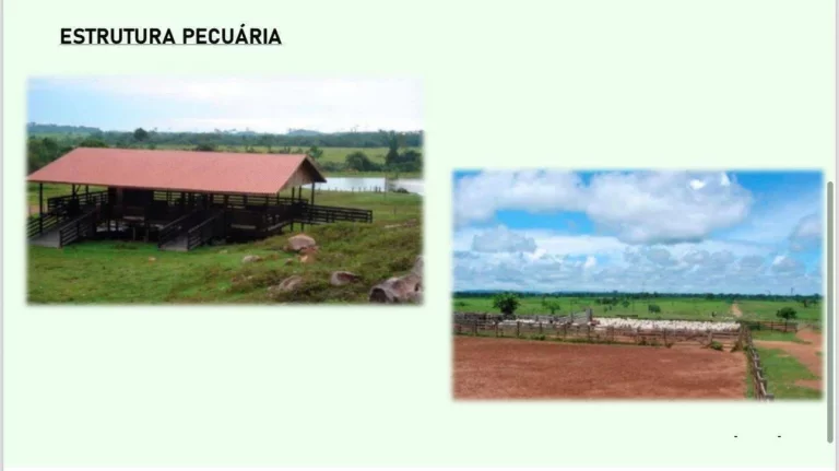 Imagem Área - Propriedade à Venda - MT