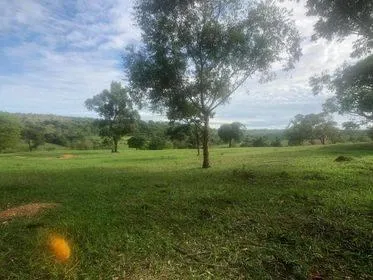 Imagem Excelente Fazenda em Funilândia/MG 112 hectares de terra