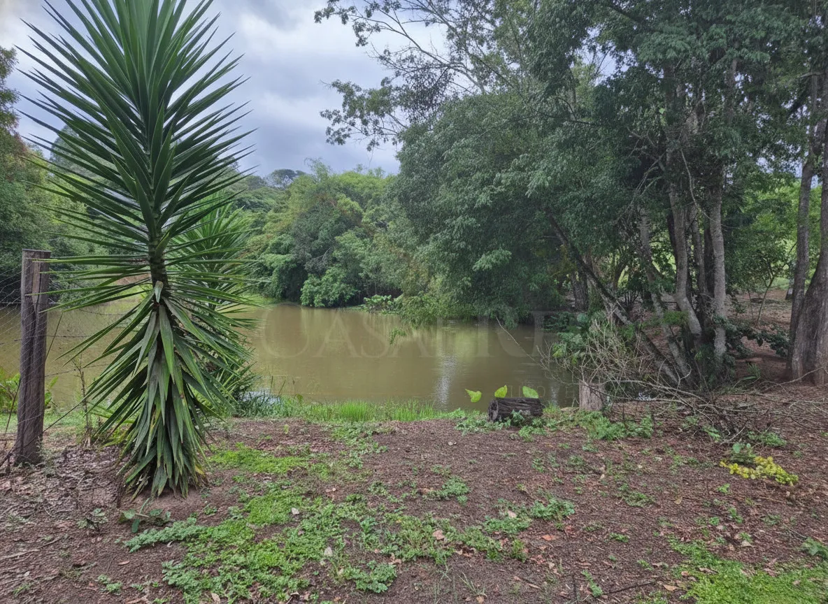 Imagem Chácara 24 m² à venda em Capituvas, Bandeira do Sul