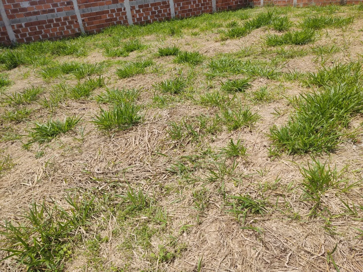 Imagem Terreno à venda 3 Quartos, 1 Suite, 4 Vagas, 720M², Jardim Residencial Doutor Lessa, Pindamonhangaba - SP