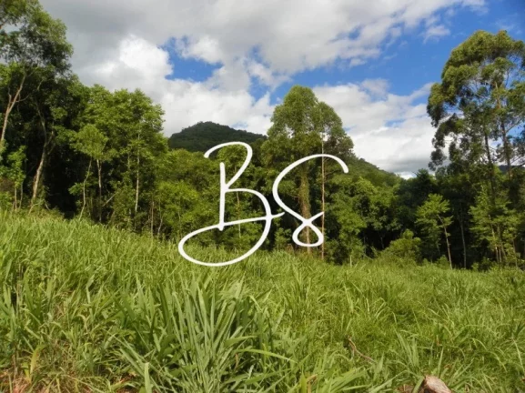 Imagem SITIO RURAL em NOVA PETRÓPOLIS - RS, Linha Temerária